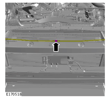 G11311521