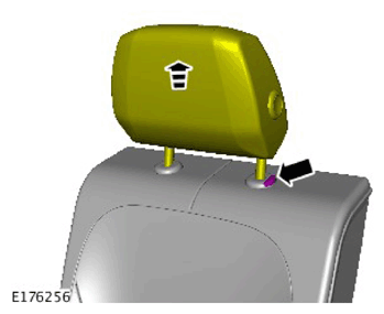 G11311907