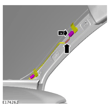 G11312124