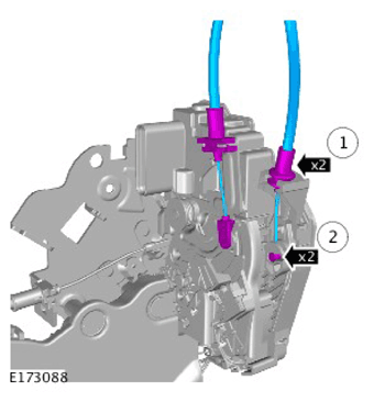 G11312253