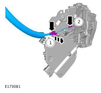 G11312254
