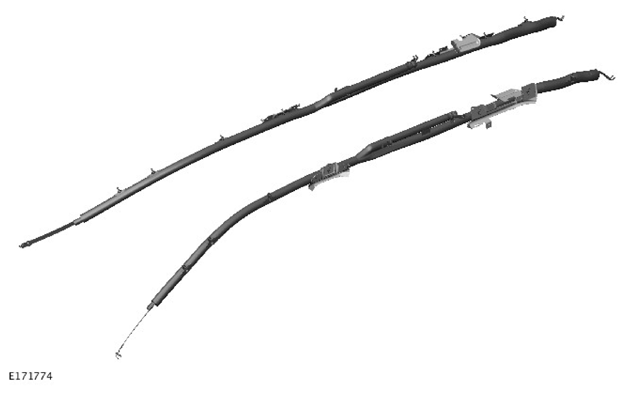G11312449