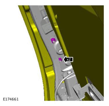 G11312521