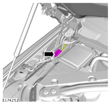 G11312537
