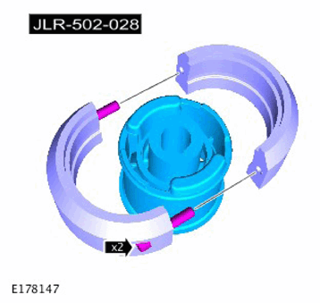 G11313036