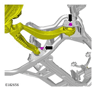 G11313048