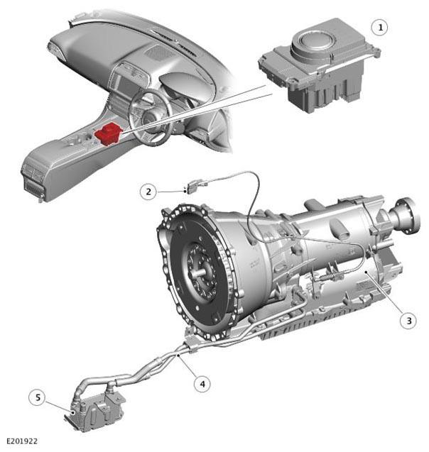 G11313698