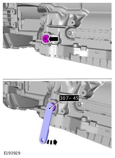 G11313730