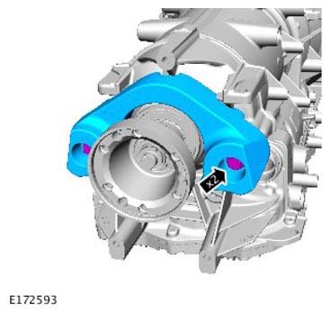 G11313757