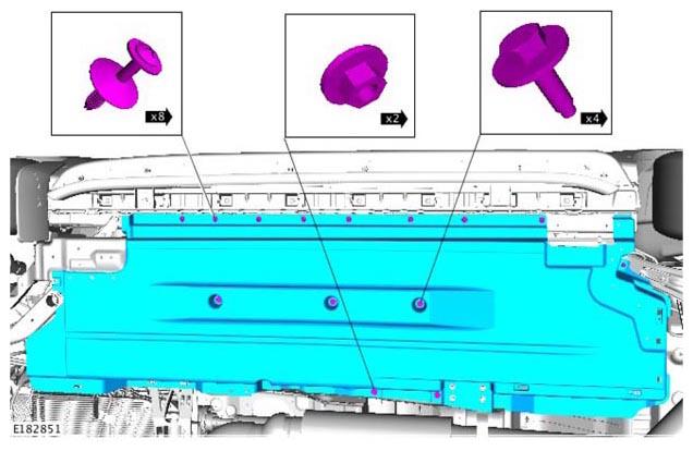 G11313796