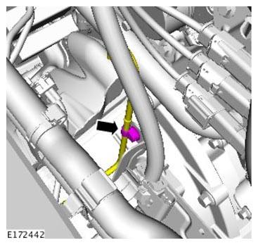 G11313815