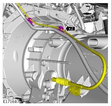 G11313855