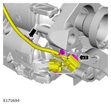 G11313861