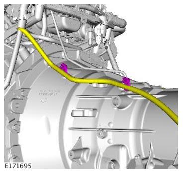 G11313862