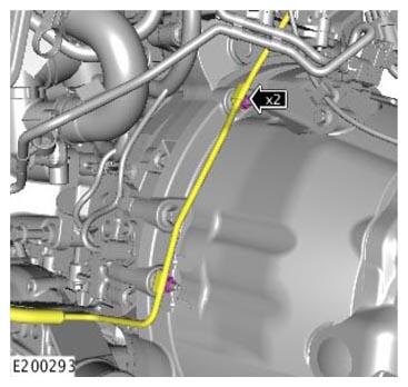 G11313878