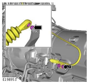 G11313881