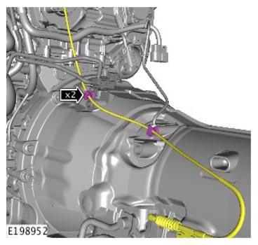 G11313882