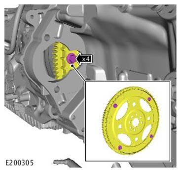 G11313887