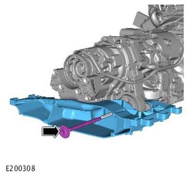 G11313893