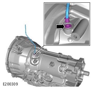 G11313894