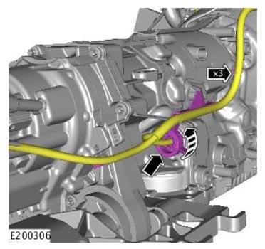 G11313897