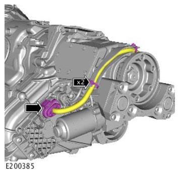 G11313898