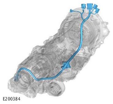 G11313899