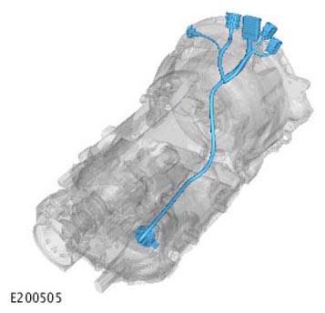 G11313925