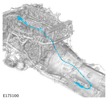 G11314234