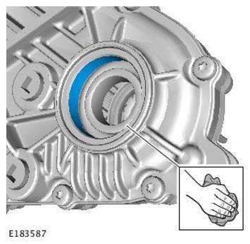 G11314270
