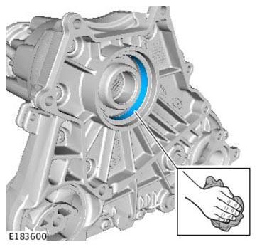 G11314291
