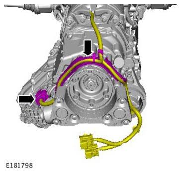G11314315