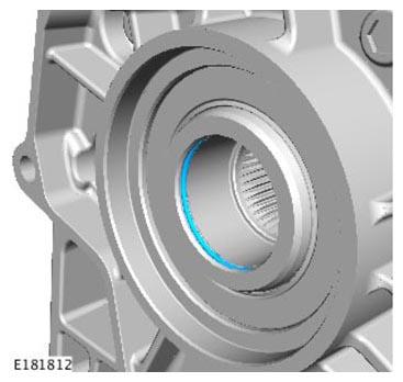 G11314318