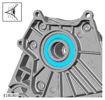 G11314319