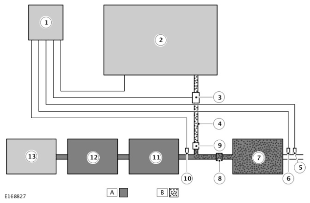 G11314558