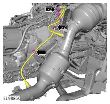 G11314664