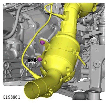 G11314666