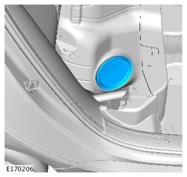 G11314682