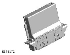 G11314905