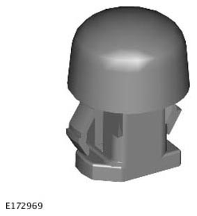 G11314921