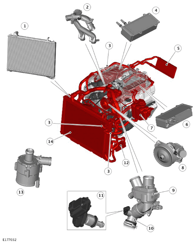 G11326661