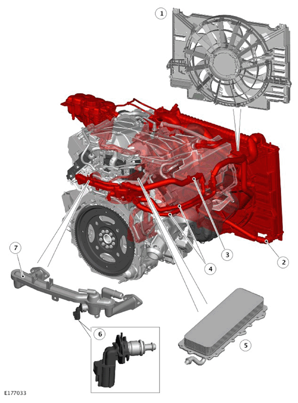 G11326662