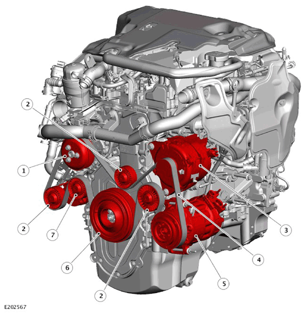 G11327836
