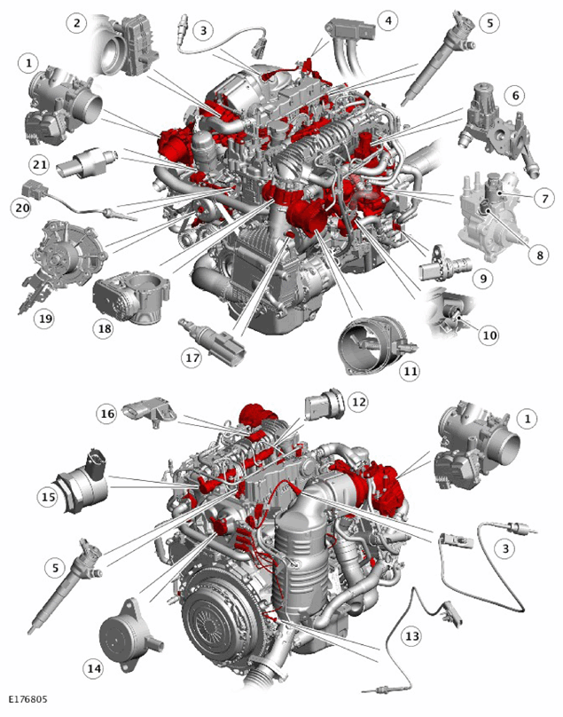 G11328451