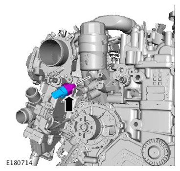 G11328534