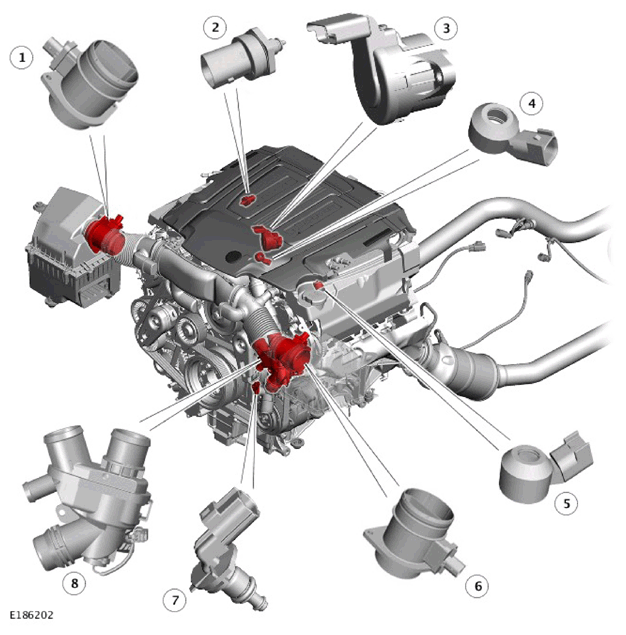 G11328679