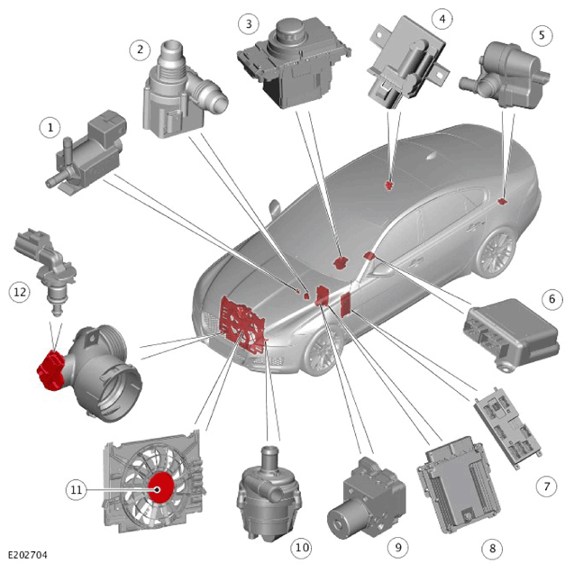 G11328758