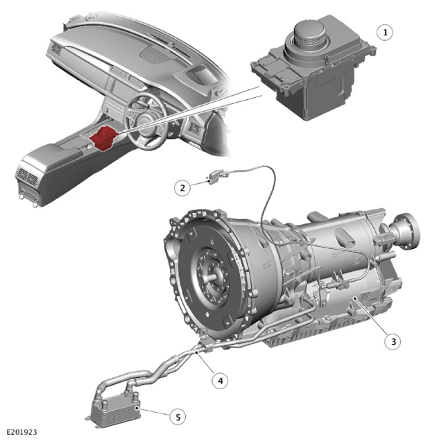 G11328829