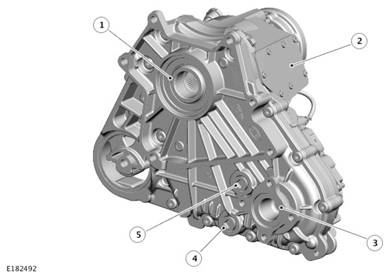G11329544
