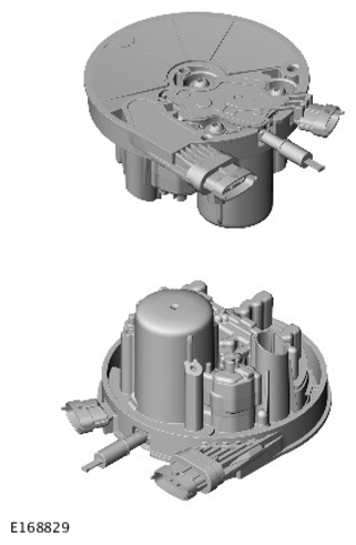 G11329858
